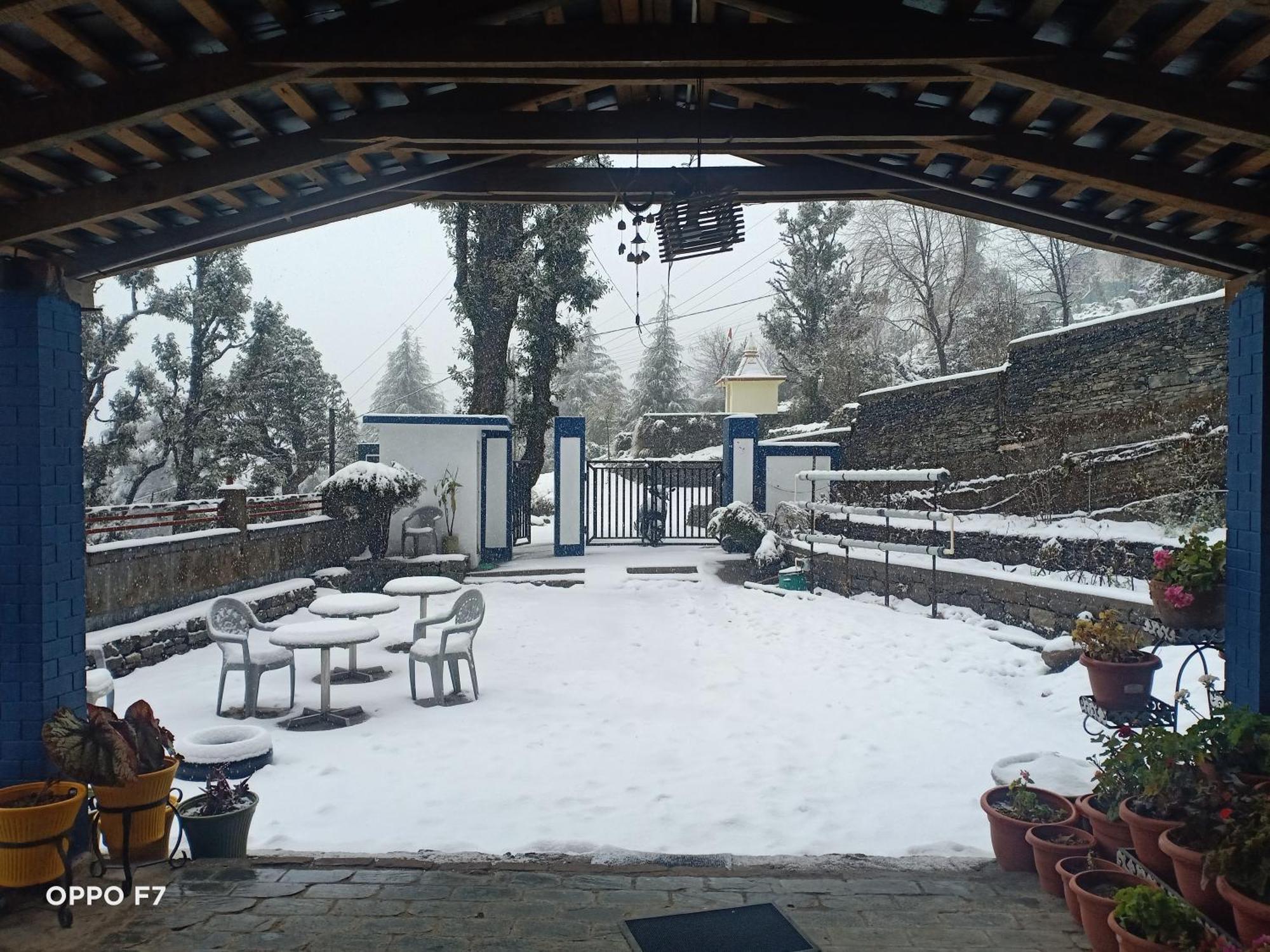 Oasis Guest House Bhagsu D'Shala Dharamshala Exterior photo