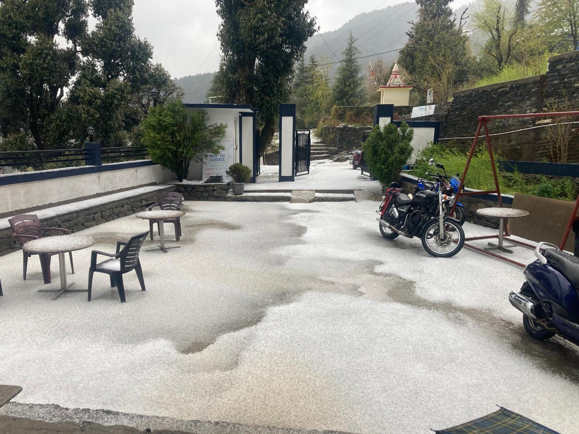 Oasis Guest House Bhagsu D'Shala Dharamshala Exterior photo