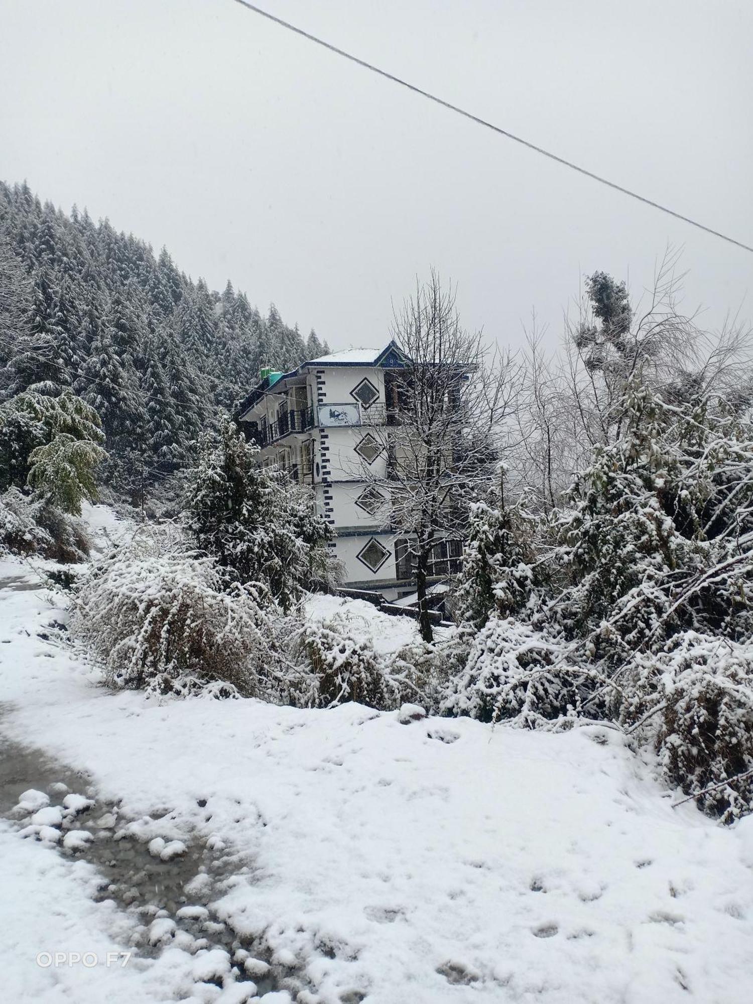 Oasis Guest House Bhagsu D'Shala Dharamshala Exterior photo